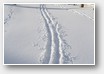 Première trace
